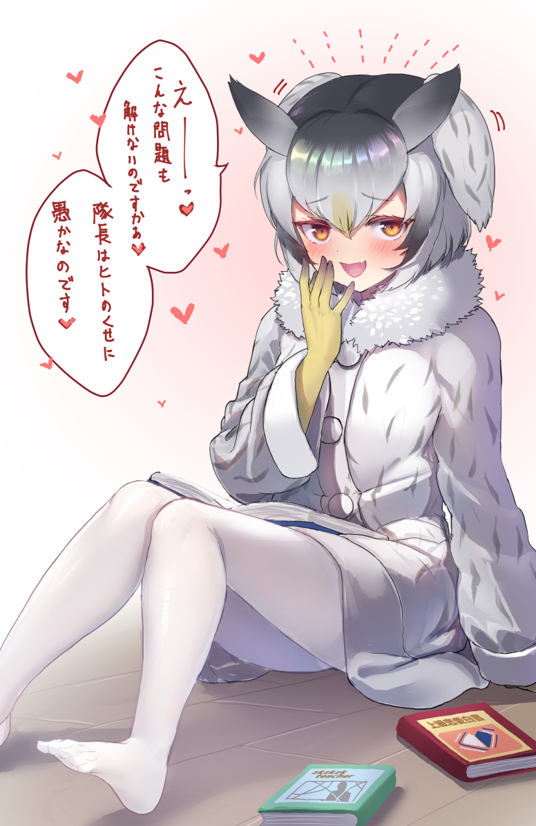 northern white-faced owl (kemono friends) drawn by tadano_magu