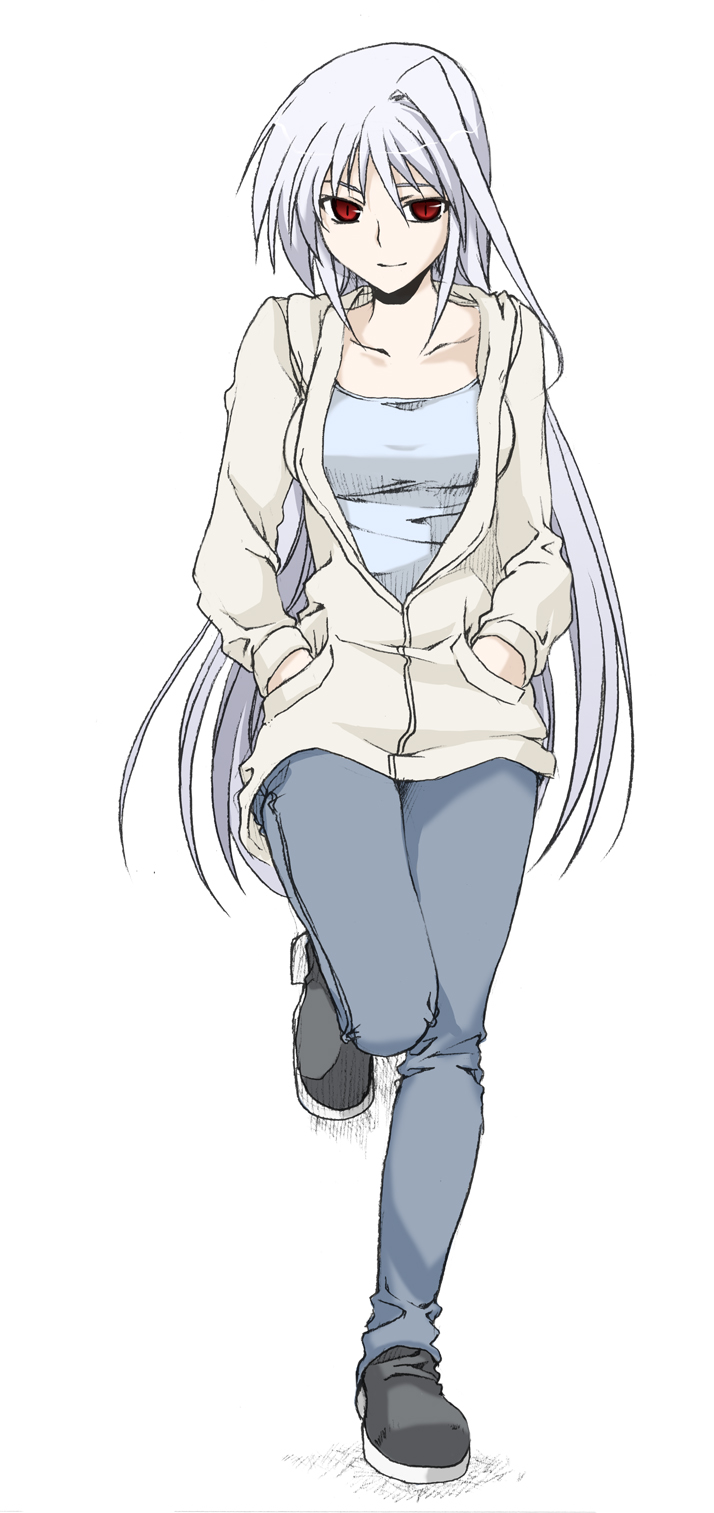 reinforce (lyrical nanoha and 2 more) drawn by elf_(stroll_in_the_woods)