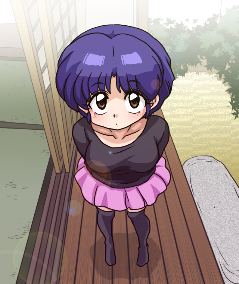 tendou akane (ranma 1/2) drawn by wanta_(futoshi)