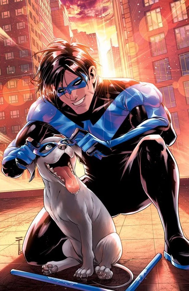 dick grayson and nightwing (dc comics and 1 more) drawn by sergacuna
