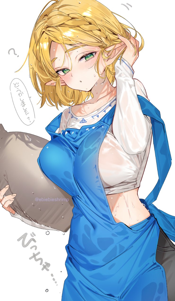 princess zelda (the legend of zelda and 1 more) drawn by shuri_(84k)