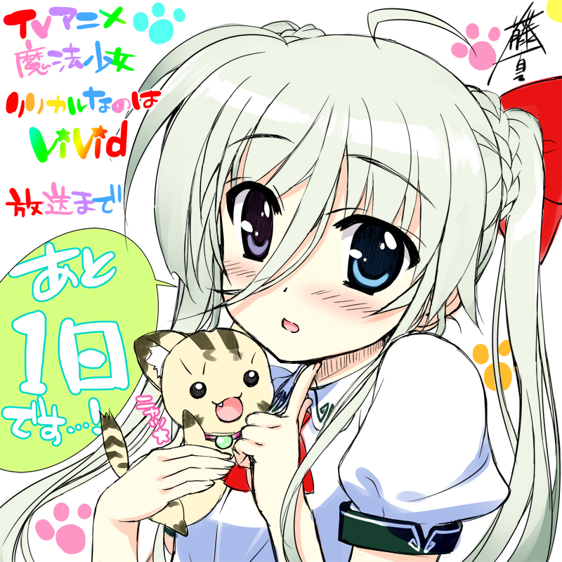 einhard stratos and asteion (lyrical nanoha and 1 more) drawn by fujima_takuya