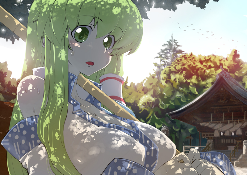kochiya sanae (touhou) drawn by hidori_(hibi_toridori)