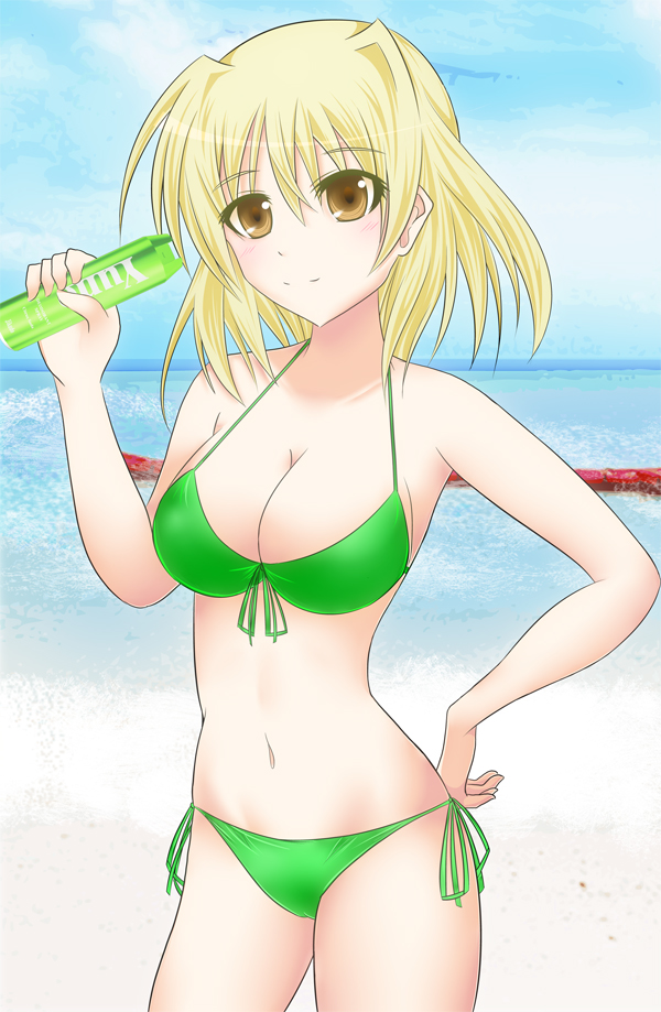 shamal (lyrical nanoha and 2 more) drawn by chelsea_masa