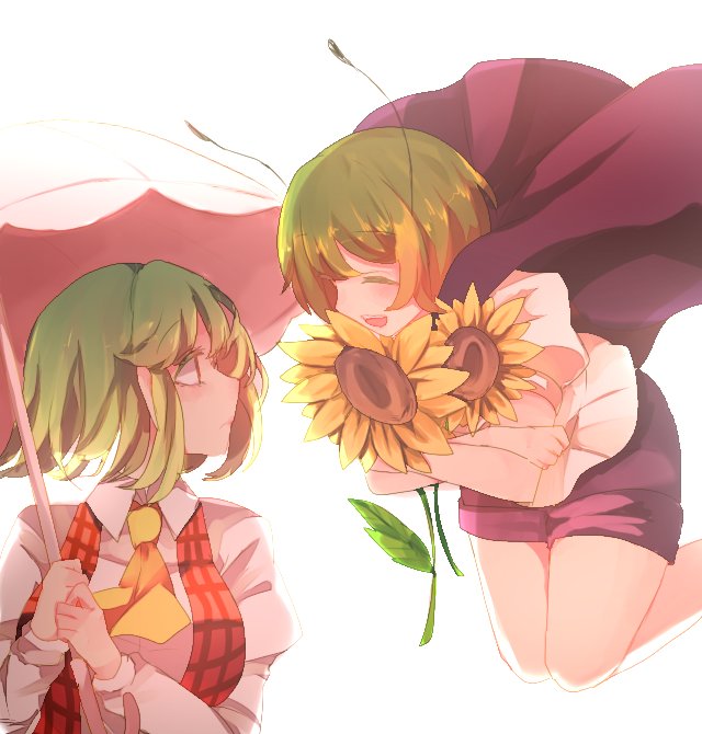 kazami yuuka and wriggle nightbug (touhou) drawn by rya_(aptkz_11)