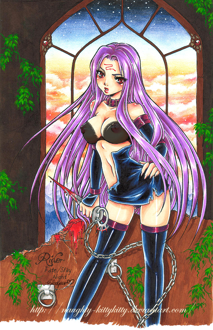medusa (fate and 1 more) drawn by elizabeth_leaper