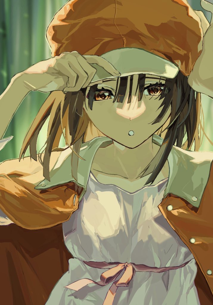 sengoku nadeko (monogatari and 1 more) drawn by tukinuke_10
