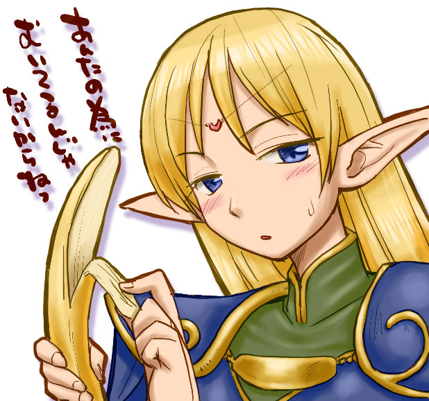 deedlit (record of lodoss war) drawn by hinemosu_notari