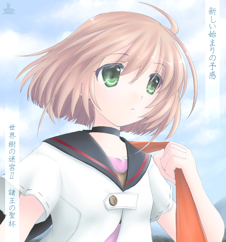 medic and medic 2 (sekaiju no meikyuu and 1 more) drawn by minyo
