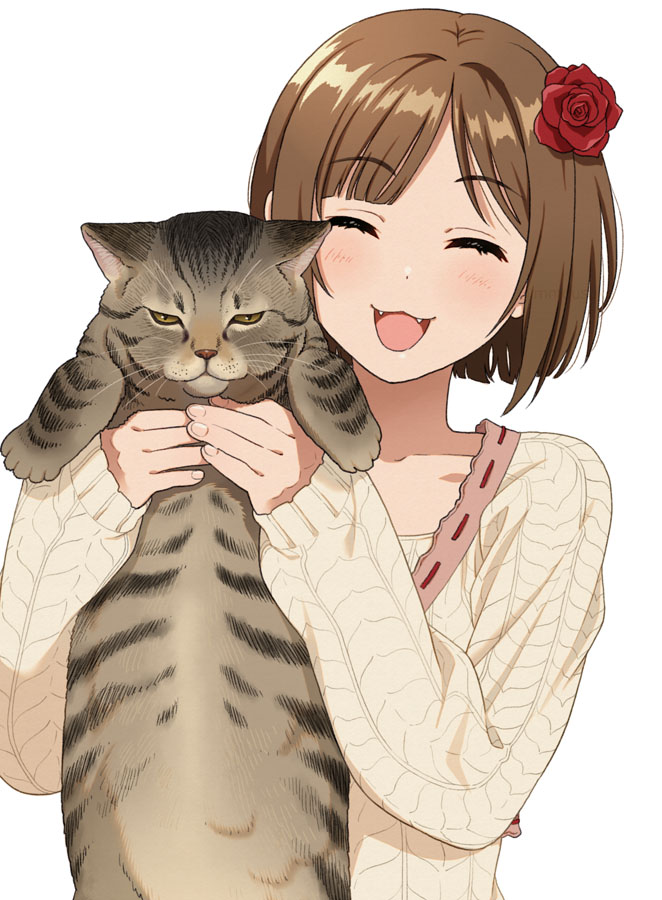 maekawa miku (idolmaster and 2 more) drawn by mattaku_mousuke