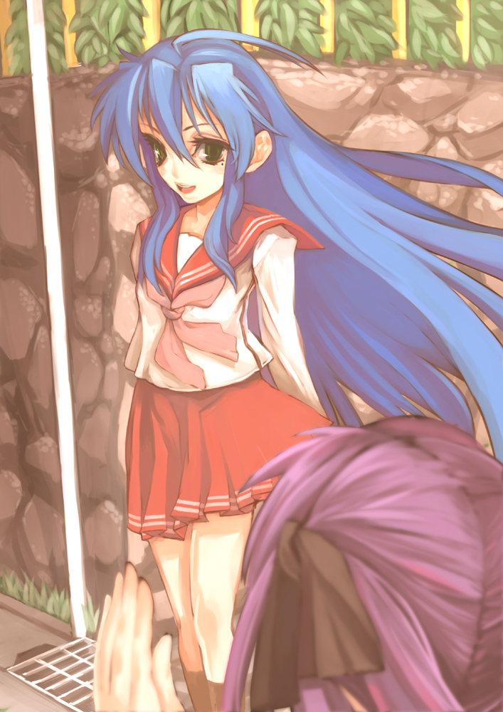 hiiragi kagami and izumi konata (lucky star) drawn by totoya_yuu