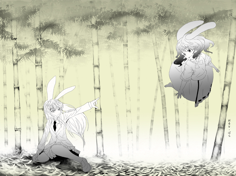 reisen udongein inaba and inaba tewi (touhou) drawn by nekoita