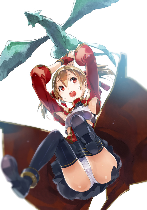 silica and pina (sword art online) drawn by yuugen