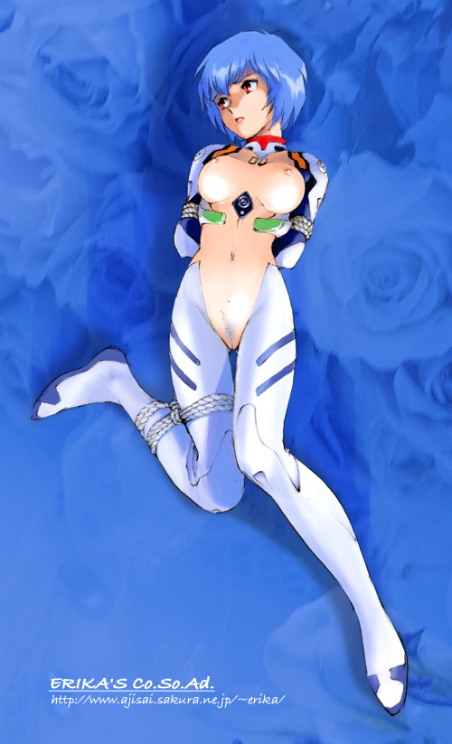 ayanami rei (neon genesis evangelion) drawn by shibata_masahiro