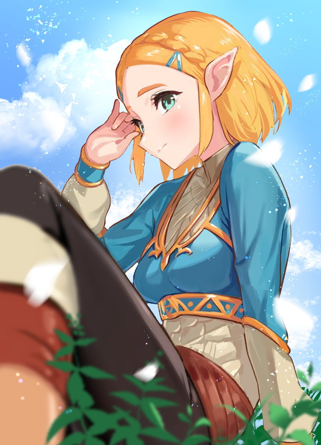 princess zelda (the legend of zelda and 1 more) drawn by green322