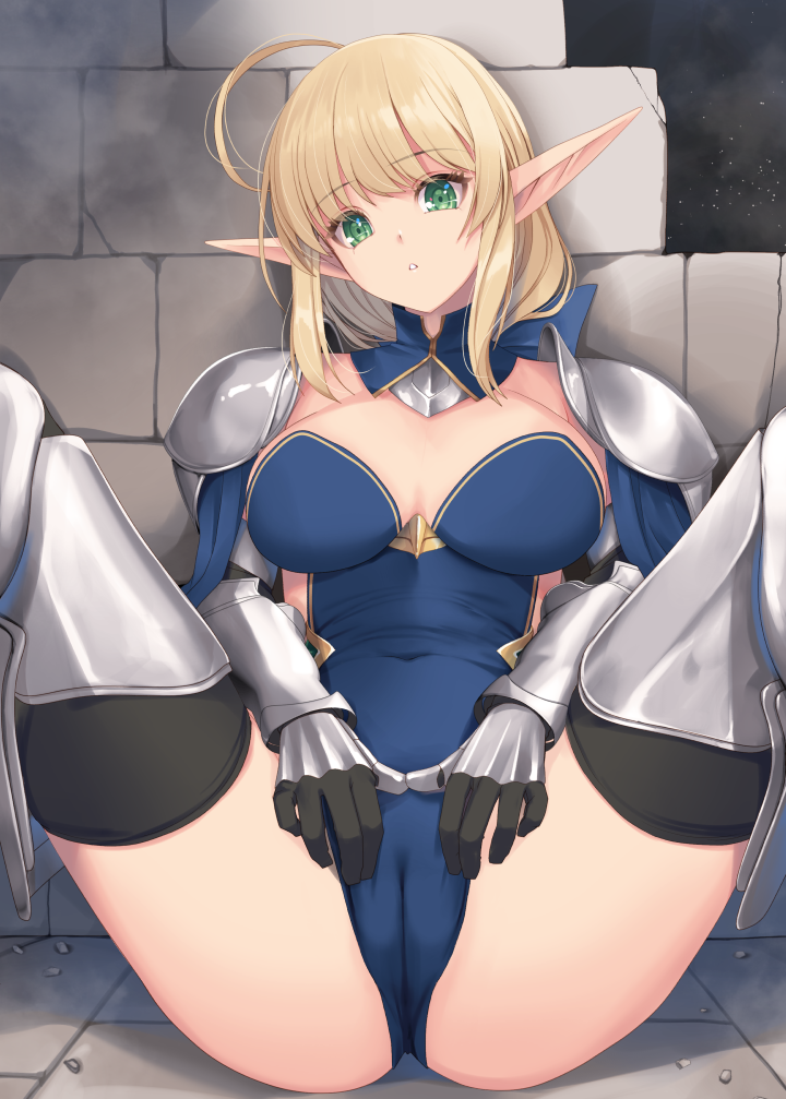 leotard elf knightess (original) drawn by kirishima_satoshi