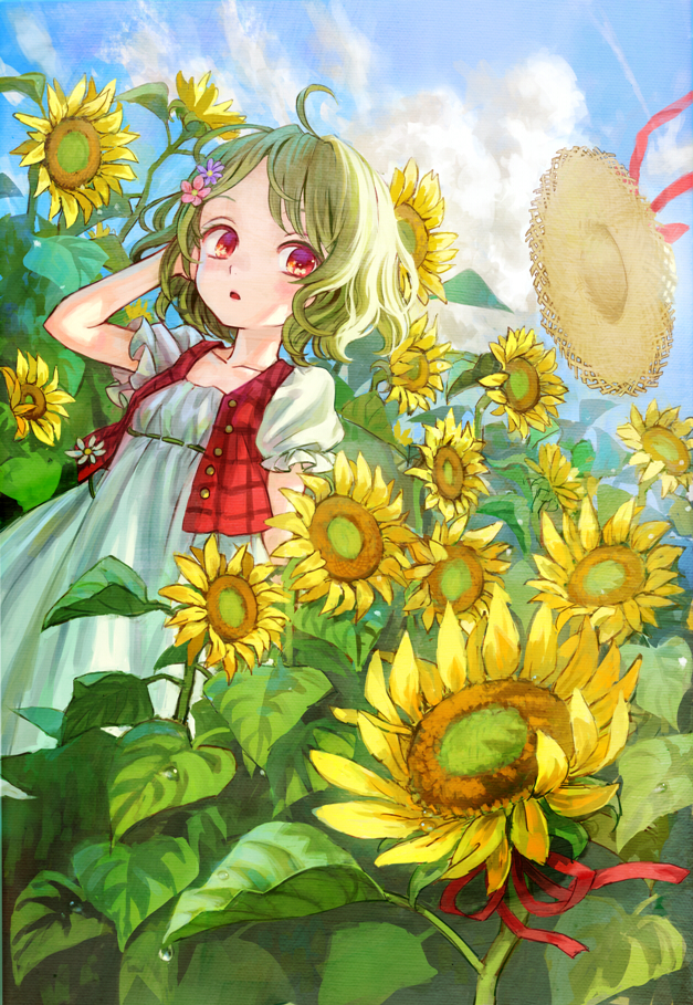 kazami yuuka (touhou and 1 more) drawn by ama-tou