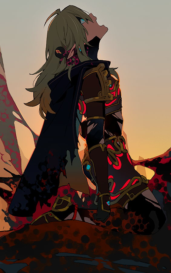 link and malice (the legend of zelda and 1 more) drawn by kaninn