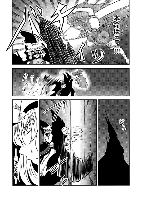 hong meiling and yakumo ran (touhou) drawn by yokochou