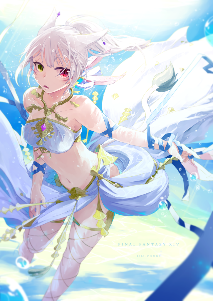 warrior of light (final fantasy and 1 more) drawn by lili_mdoki