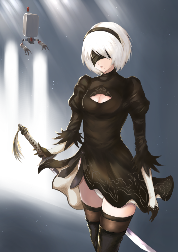 2b and pod (nier and 1 more) drawn by kurokku