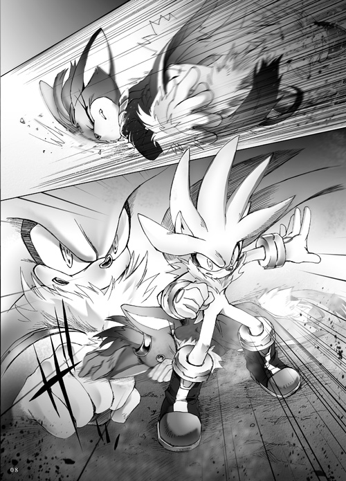 blaze the cat and silver the hedgehog (sonic and 1 more) drawn by iiimirai