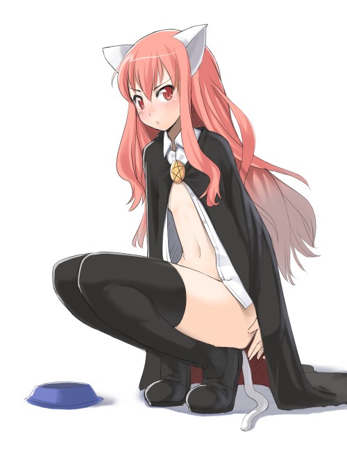 louise francoise le blanc de la valliere (zero no tsukaima) drawn by nagase_haruhito