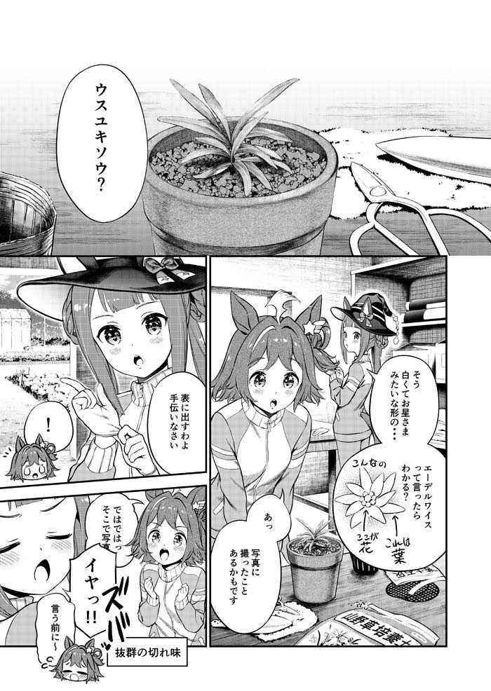 sweep tosho and rhein kraft (umamusume) drawn by 8765sun