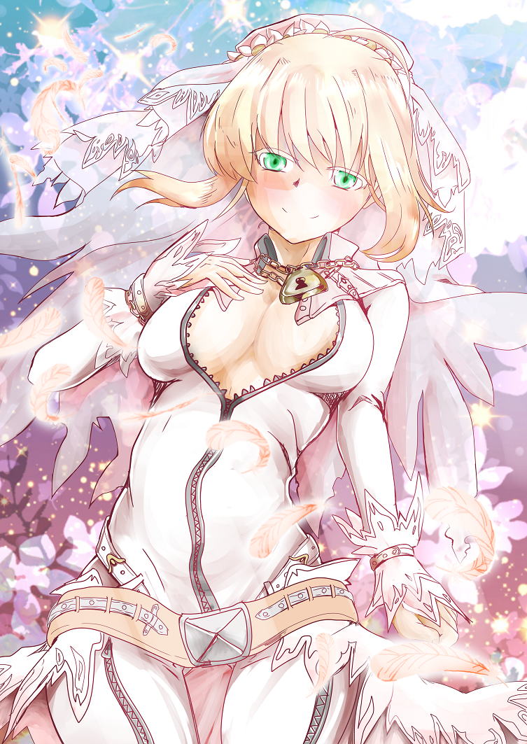 nero claudius (fate and 2 more) drawn by maxwell_manzoku