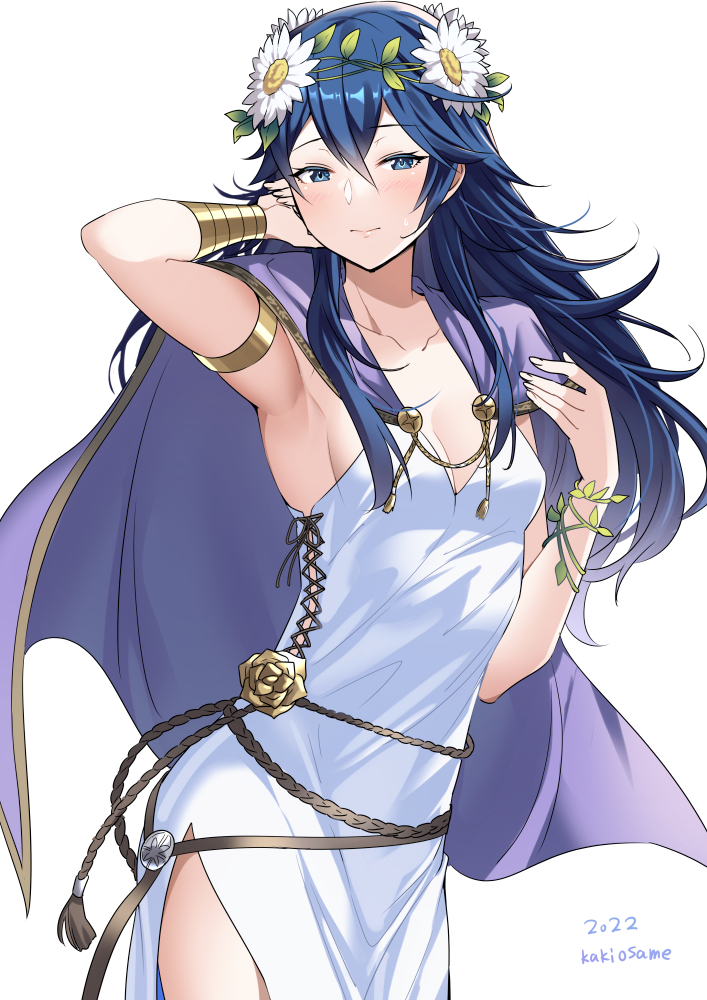 lucina (fire emblem and 2 more) drawn by ameno_(a_meno0)