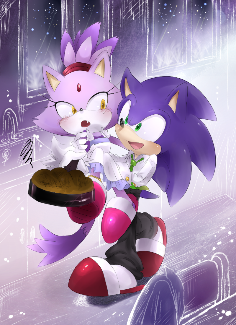 sonic the hedgehog and blaze the cat (sonic) drawn by unichrome-uni