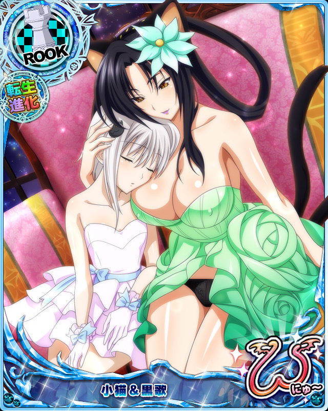 kuroka and toujou koneko (high school dxd and 1 more)