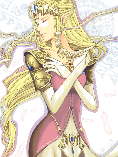 princess zelda (the legend of zelda and 1 more)