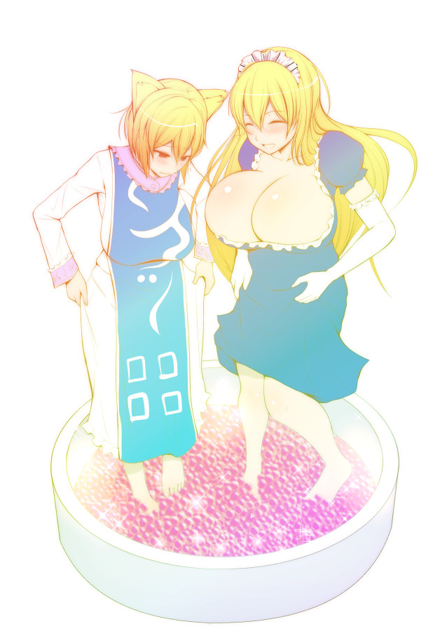 yakumo yukari and yakumo ran (touhou) drawn by diisuke