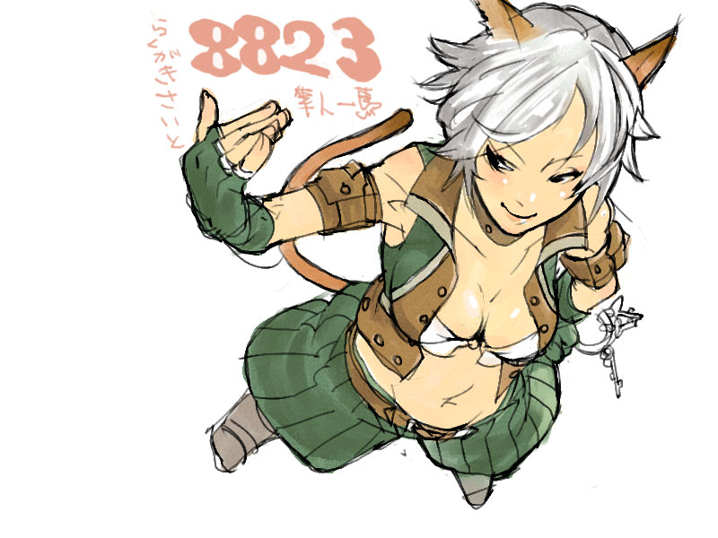 adventurer and thief (final fantasy and 1 more)