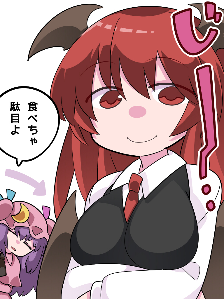 patchouli knowledge and koakuma (touhou) drawn by hammer_(sunset_beach)