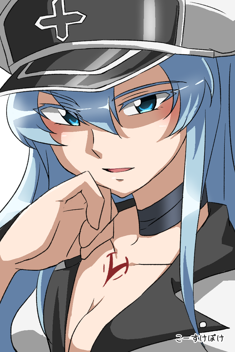 esdeath (akame ga kill!) drawn by kousuke_(ko_suke)