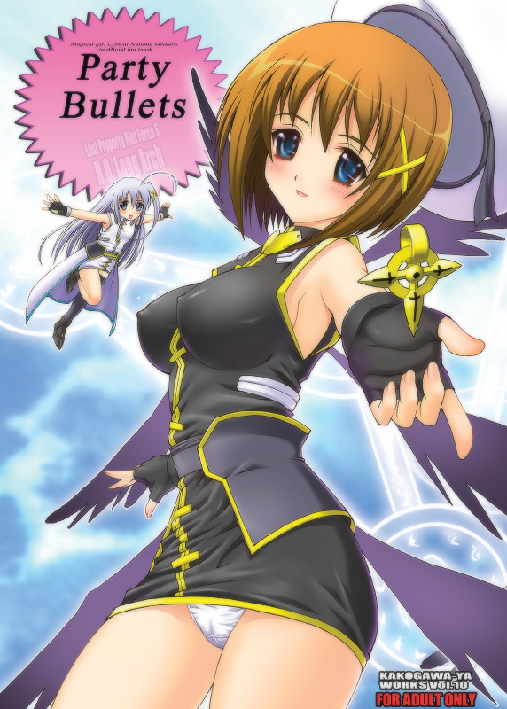 yagami hayate, reinforce zwei, and schwertkreuz (lyrical nanoha and 1 more) drawn by kakogawa_tarou