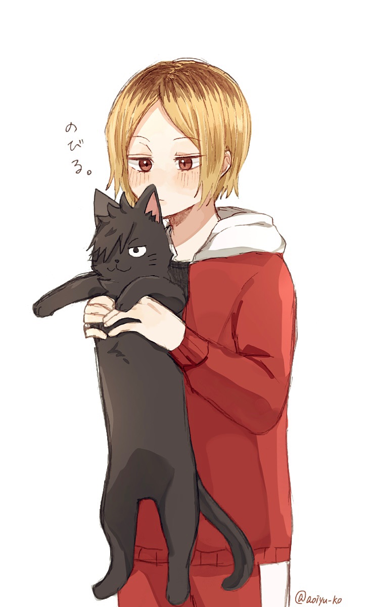 kuroo tetsurou and kozume kenma (haikyuu!!) drawn by 1610aoi