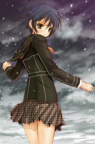 shirogane naoto (persona and 1 more) drawn by seiru_(prairie)