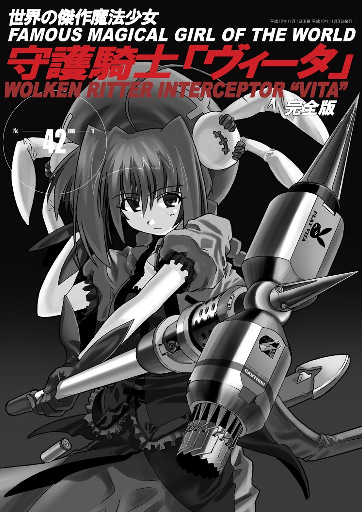 vita and graf eisen (lyrical nanoha and 3 more) drawn by excel_(gewalt)