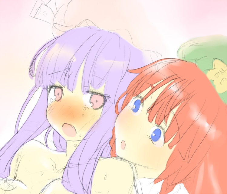 patchouli knowledge and hong meiling (touhou) drawn by hidari_(coletica)