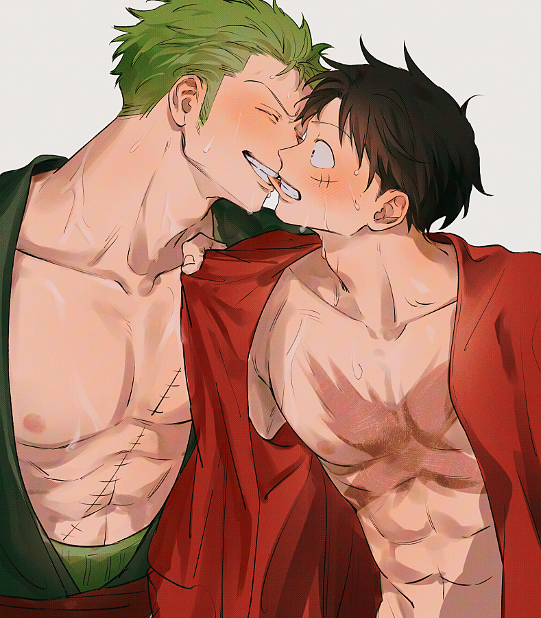 monkey d. luffy and roronoa zoro (one piece) drawn by gohan_ooo