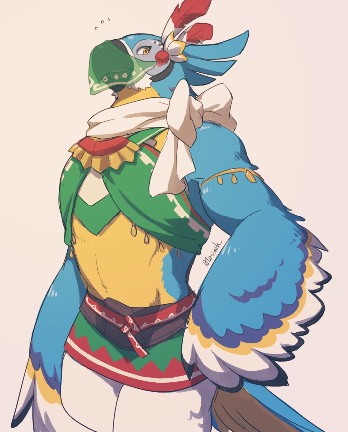 kass (the legend of zelda and 1 more) drawn by meganemido