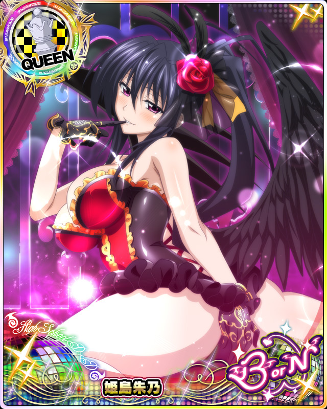 himejima akeno (high school dxd and 1 more)