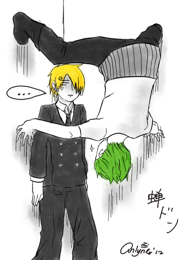 roronoa zoro and sanji (one piece) drawn by anlyne