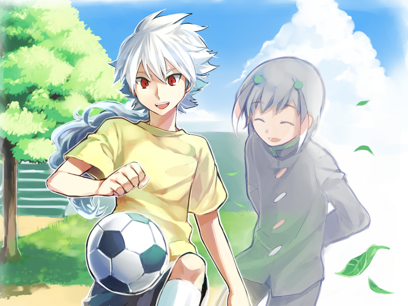 hakuryuu and shuu (inazuma eleven and 1 more) drawn by cezaria