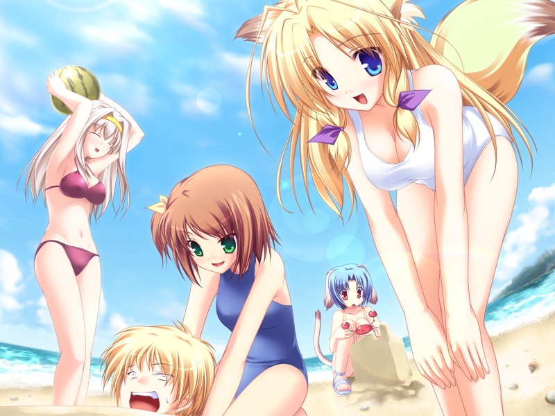 kamishiro mutsuki, midou chihiro, haruhi sarasa, kujou hiina, and yagami kijuurou (inakoi) drawn by tenmaso