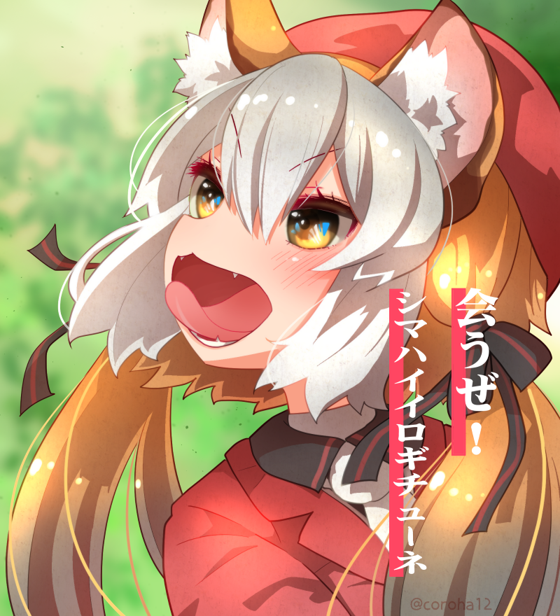 island fox (kemono friends and 1 more) drawn by coroha