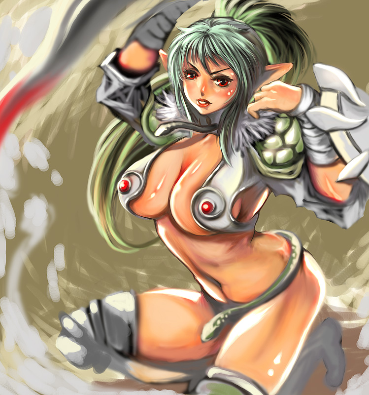 echidna and veteran mercenary echidna (queen's blade) drawn by shinjuro_yuri